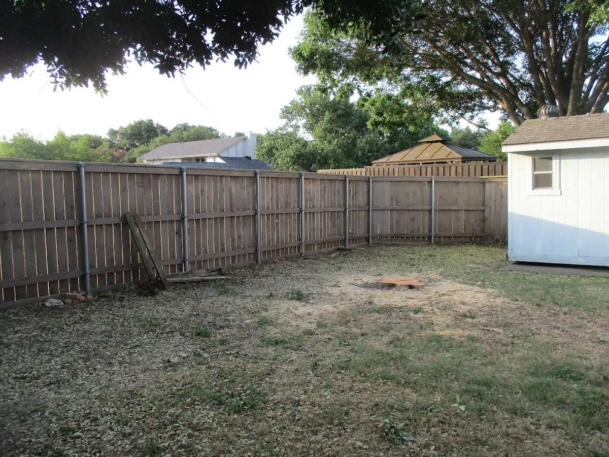Cleared yard after professional tree removal in Maben